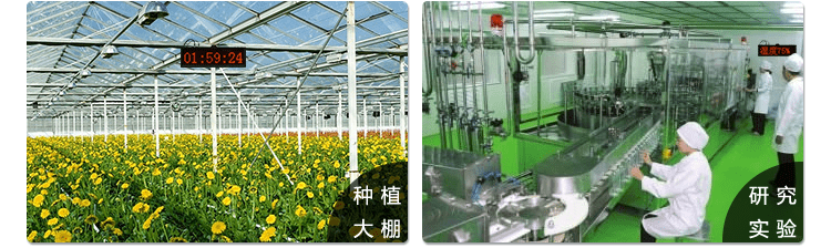 温湿度点阵时间屏应用场景